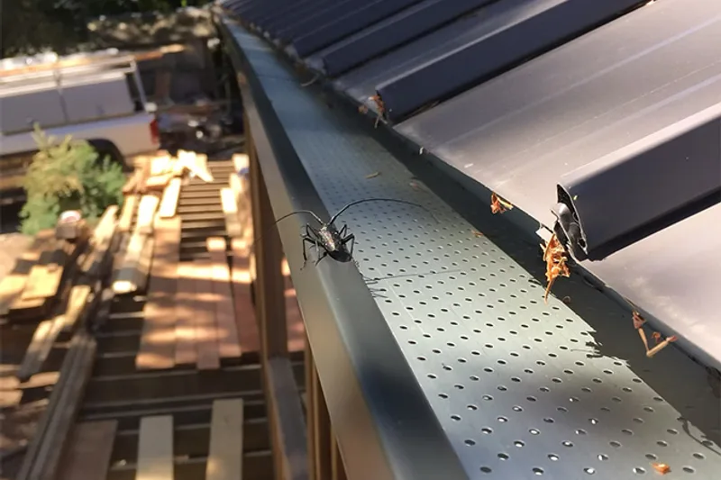 Alu-Rex gutter guard keeping leaves out of the gutter